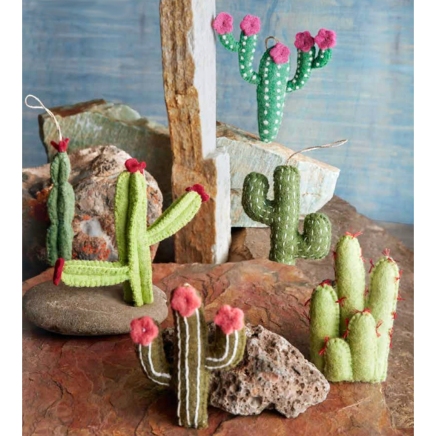 Felted-Cactus-with-Background