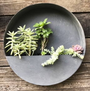 Looking for the perfect gift this holiday season? Check out Planted Places’ 2018 Holiday Gift Guide for Succulent Lovers. Included are our products that are perfect for gift giving, as well as products from other companies that we adore.